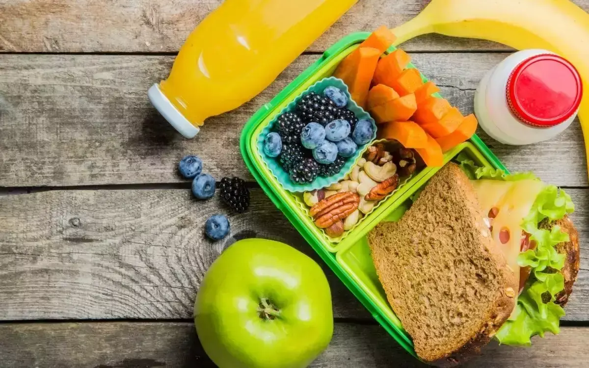 Qual É O Procedimento Correto Para Descongelar Alimentos?