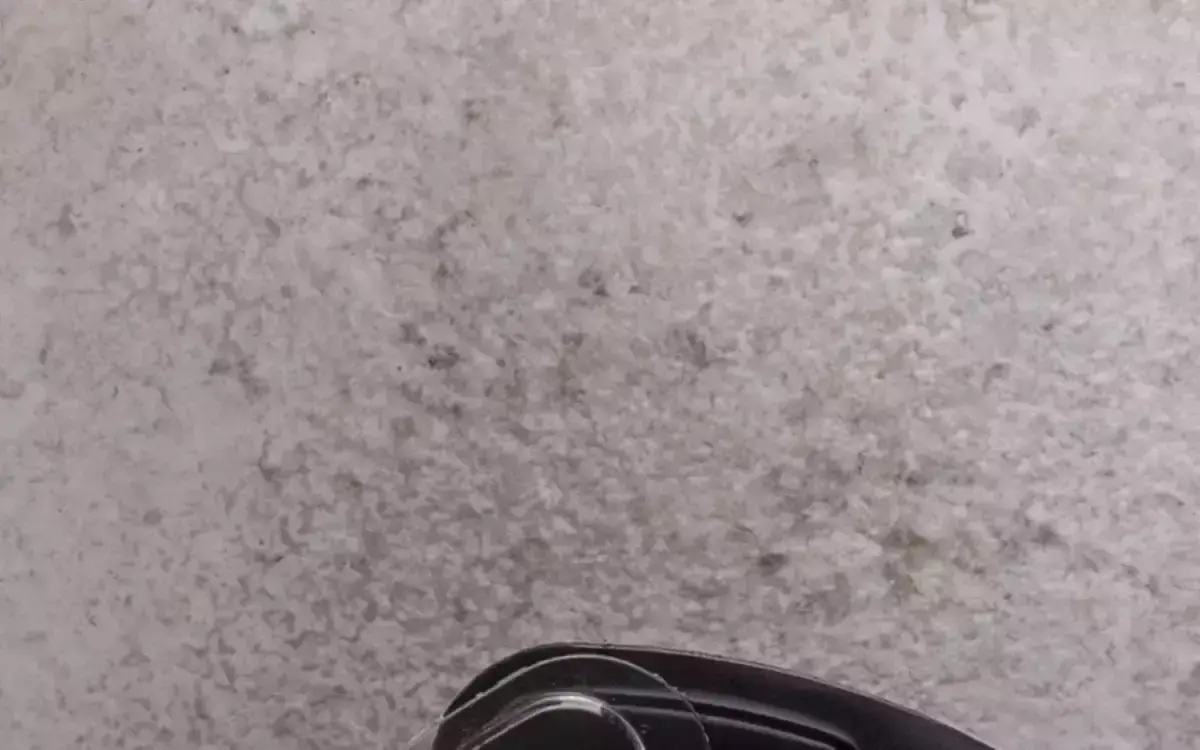 Quanto Tempo O Feijão Pode Ficar Fora Da Geladeira Depois De Cozido?